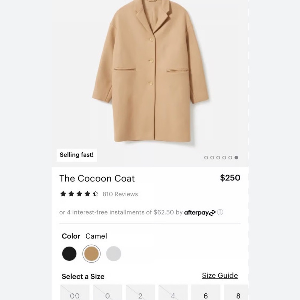 Everlane Trench Coat in Camel